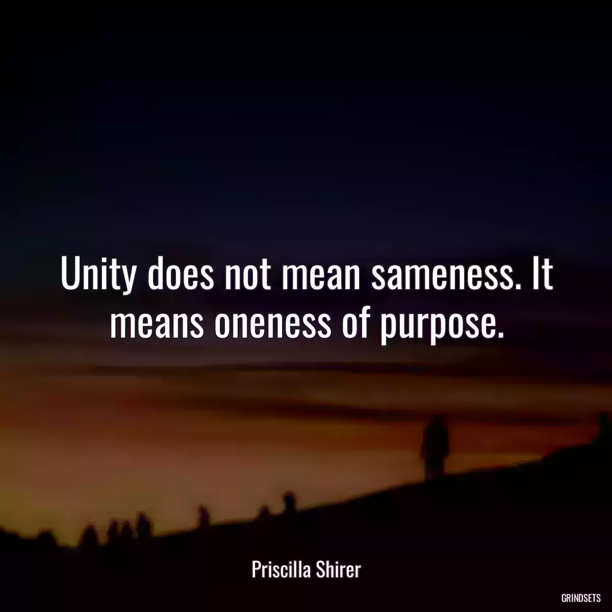 Unity does not mean sameness. It means oneness of purpose.