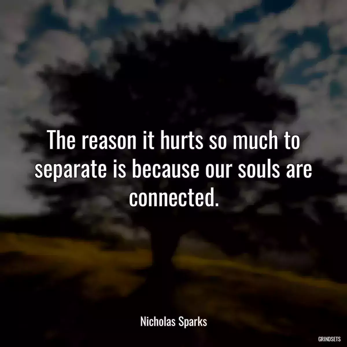 The reason it hurts so much to separate is because our souls are connected.