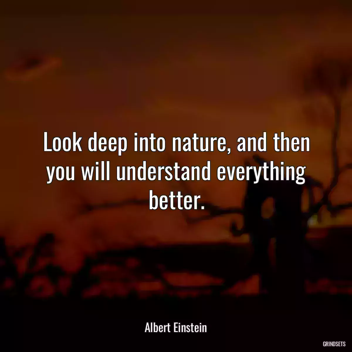 Look deep into nature, and then you will understand everything better.