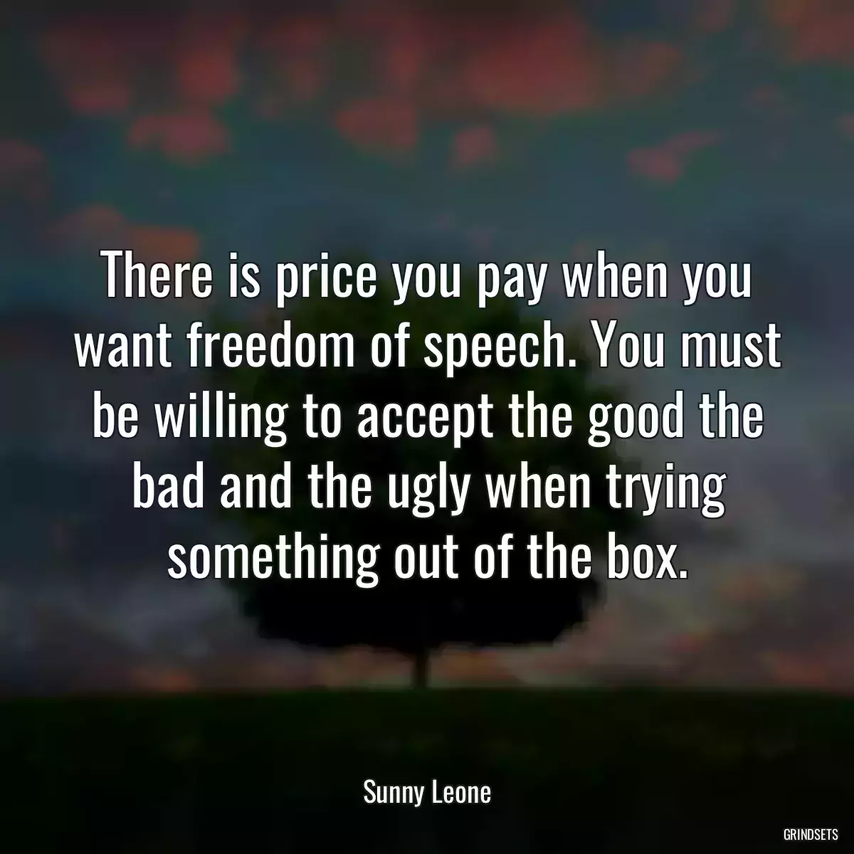 There is price you pay when you want freedom of speech. You must be willing to accept the good the bad and the ugly when trying something out of the box.