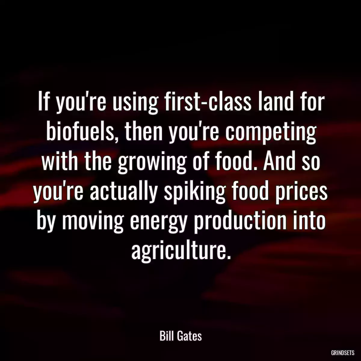 If you\'re using first-class land for biofuels, then you\'re competing with the growing of food. And so you\'re actually spiking food prices by moving energy production into agriculture.