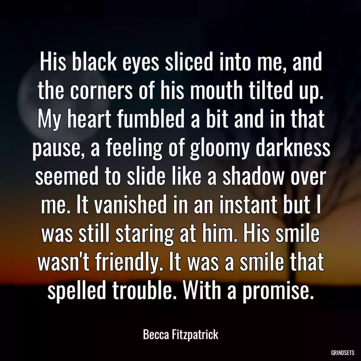 His black eyes sliced into me, and the corners of his mouth tilted up. My heart fumbled a bit and in that pause, a feeling of gloomy darkness seemed to slide like a shadow over me. It vanished in an instant but I was still staring at him. His smile wasn\'t friendly. It was a smile that spelled trouble. With a promise.