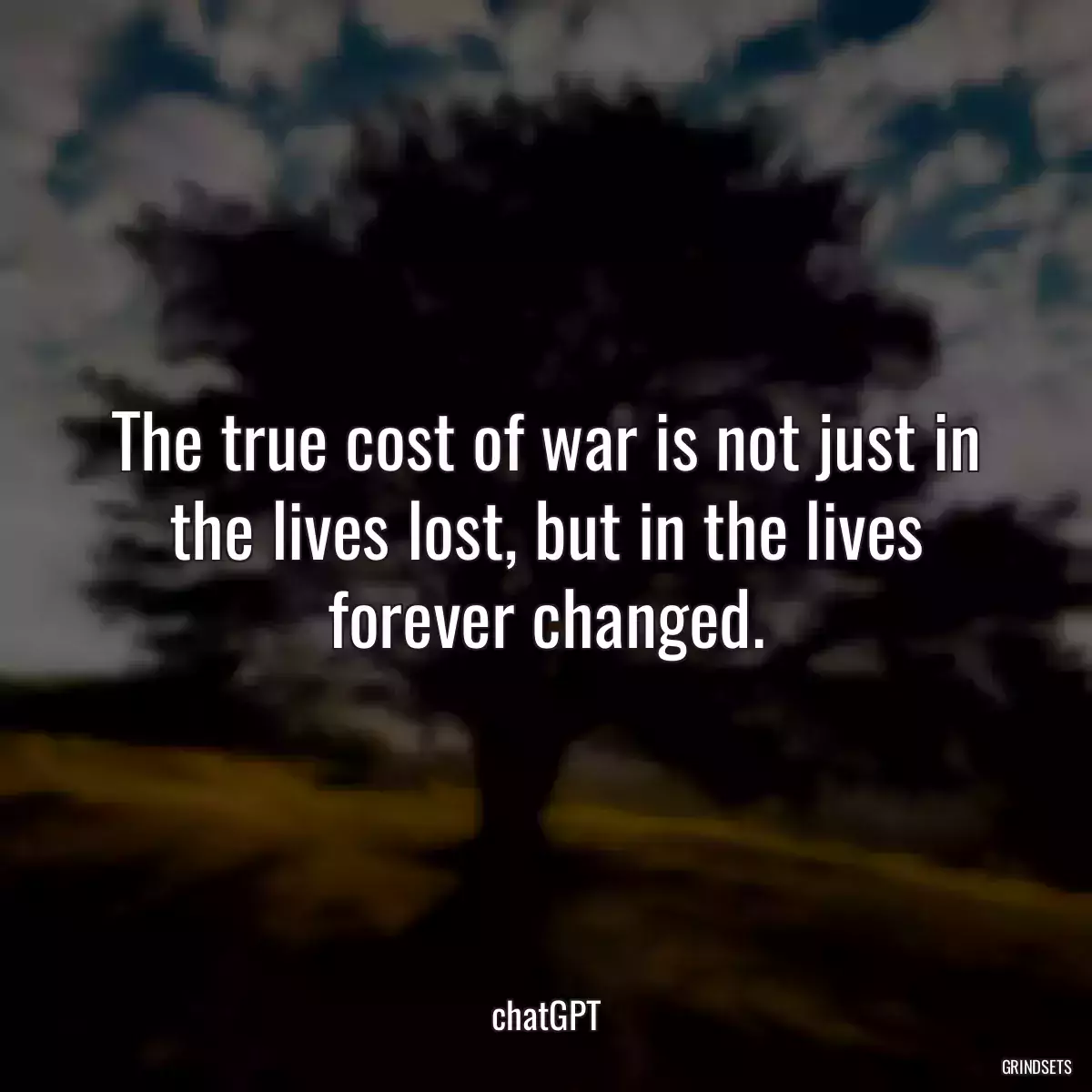 The true cost of war is not just in the lives lost, but in the lives forever changed.