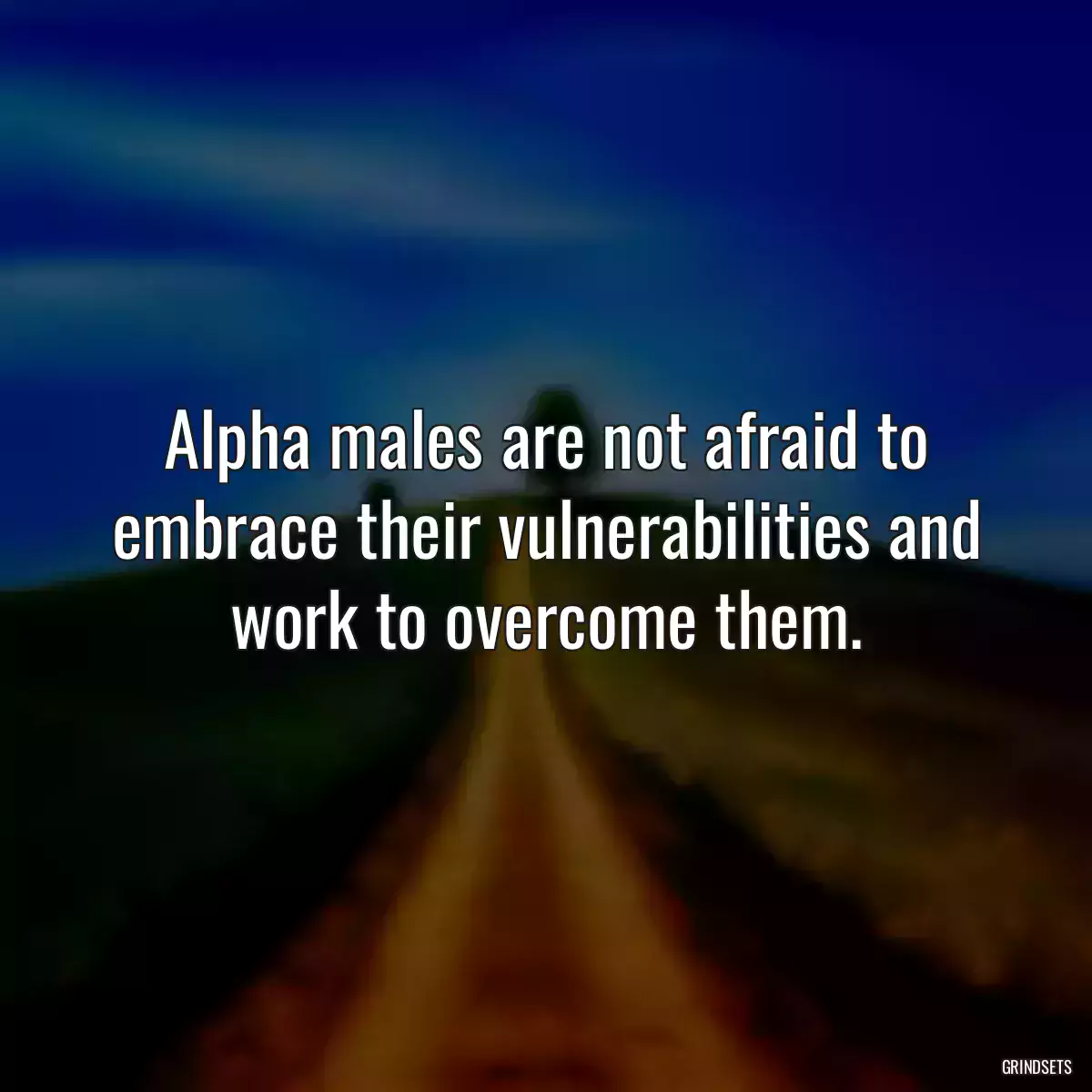 Alpha males are not afraid to embrace their vulnerabilities and work to overcome them.