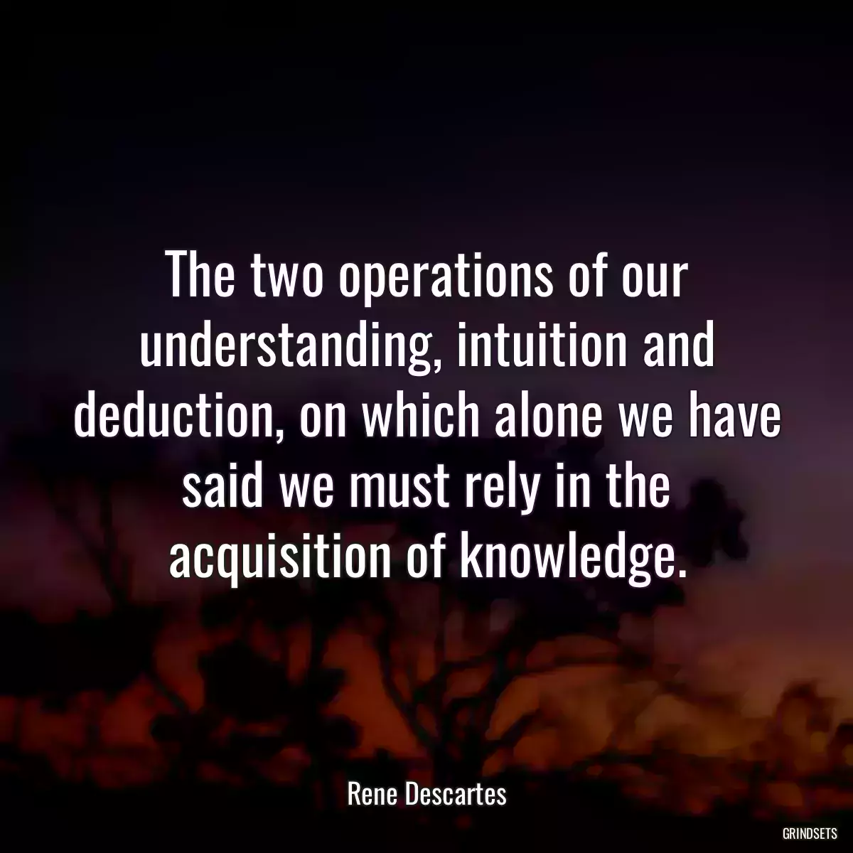 The two operations of our understanding, intuition and deduction, on which alone we have said we must rely in the acquisition of knowledge.