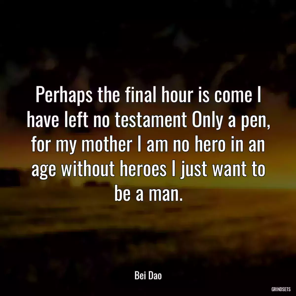 Perhaps the final hour is come I have left no testament Only a pen, for my mother I am no hero in an age without heroes I just want to be a man.