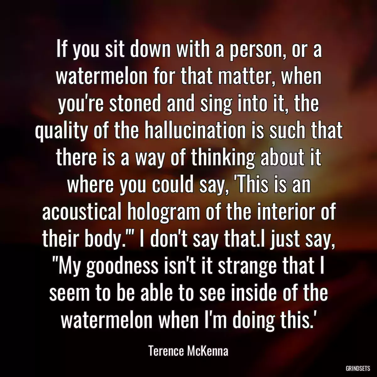 If you sit down with a person, or a watermelon for that matter, when you\'re stoned and sing into it, the quality of the hallucination is such that there is a way of thinking about it where you could say, \'This is an acoustical hologram of the interior of their body.\'\