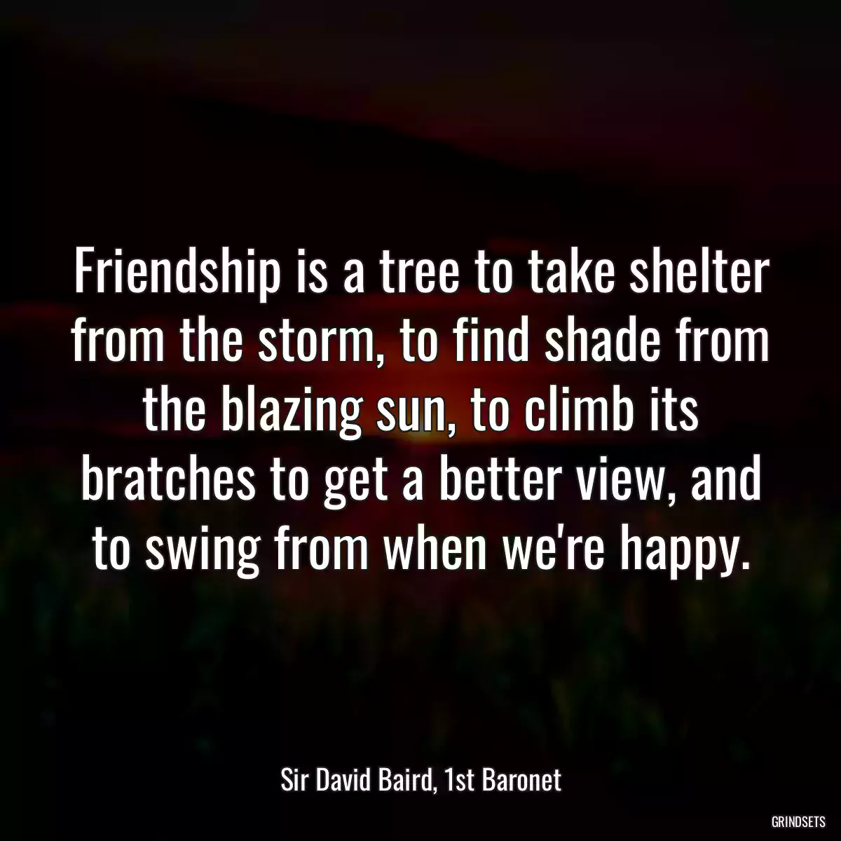 Friendship is a tree to take shelter from the storm, to find shade from the blazing sun, to climb its bratches to get a better view, and to swing from when we\'re happy.