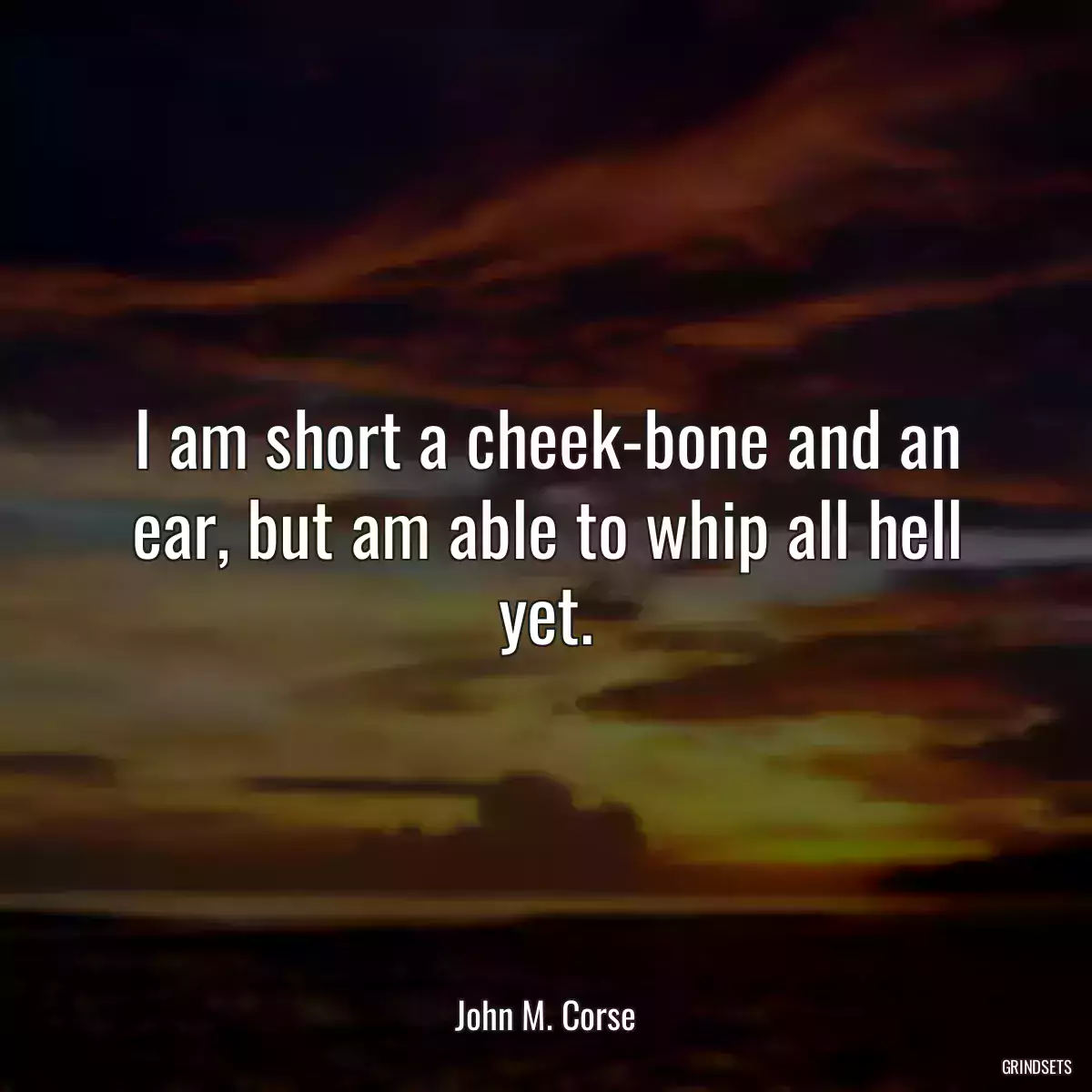 I am short a cheek-bone and an ear, but am able to whip all hell yet.