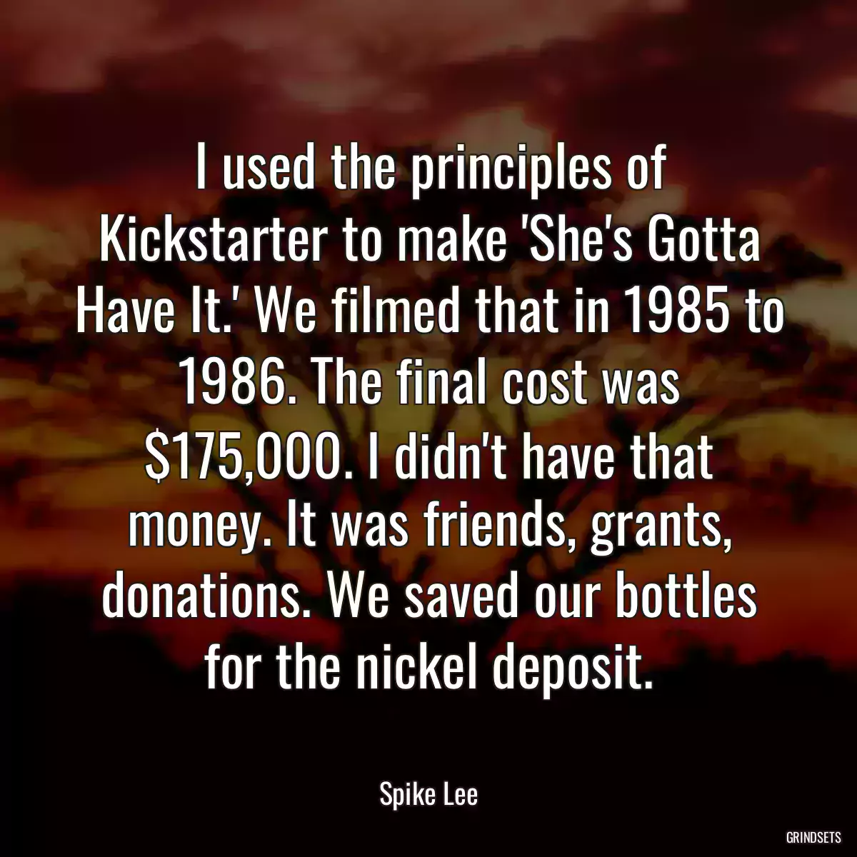 I used the principles of Kickstarter to make \'She\'s Gotta Have It.\' We filmed that in 1985 to 1986. The final cost was $175,000. I didn\'t have that money. It was friends, grants, donations. We saved our bottles for the nickel deposit.