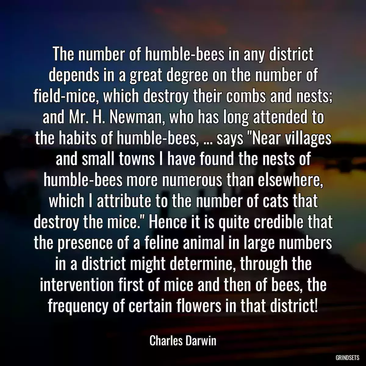 The number of humble-bees in any district depends in a great degree on the number of field-mice, which destroy their combs and nests; and Mr. H. Newman, who has long attended to the habits of humble-bees, ... says \