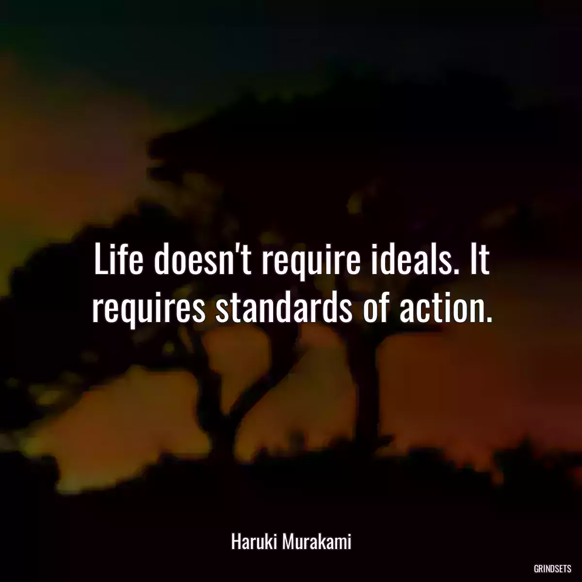 Life doesn\'t require ideals. It requires standards of action.