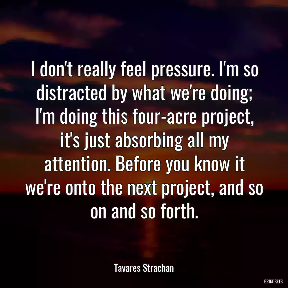 I don\'t really feel pressure. I\'m so distracted by what we\'re doing; I\'m doing this four-acre project, it\'s just absorbing all my attention. Before you know it we\'re onto the next project, and so on and so forth.