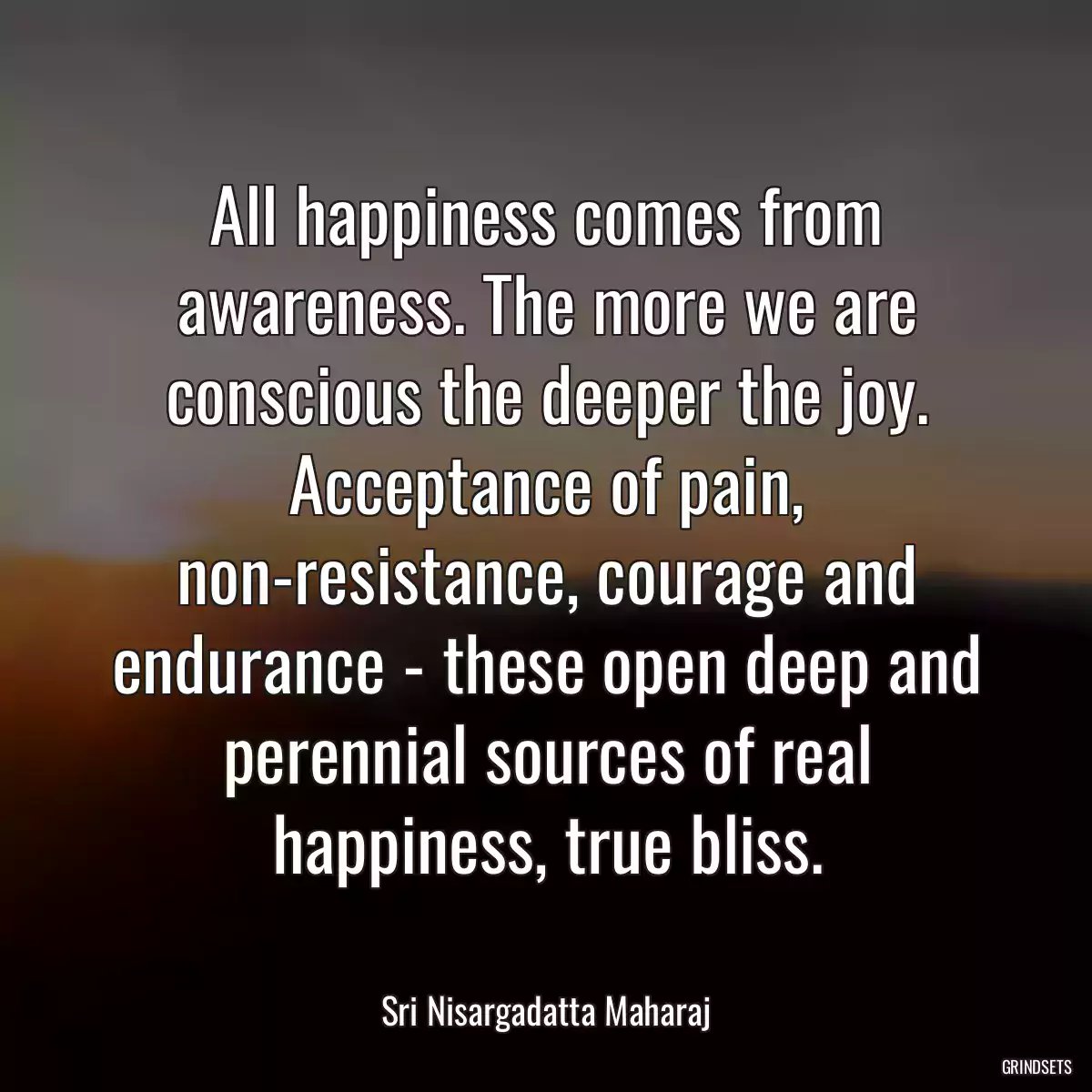 All happiness comes from awareness. The more we are conscious the deeper the joy. Acceptance of pain, non-resistance, courage and endurance - these open deep and perennial sources of real happiness, true bliss.