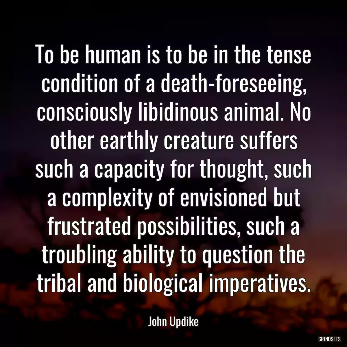 To be human is to be in the tense condition of a death-foreseeing, consciously libidinous animal. No other earthly creature suffers such a capacity for thought, such a complexity of envisioned but frustrated possibilities, such a troubling ability to question the tribal and biological imperatives.