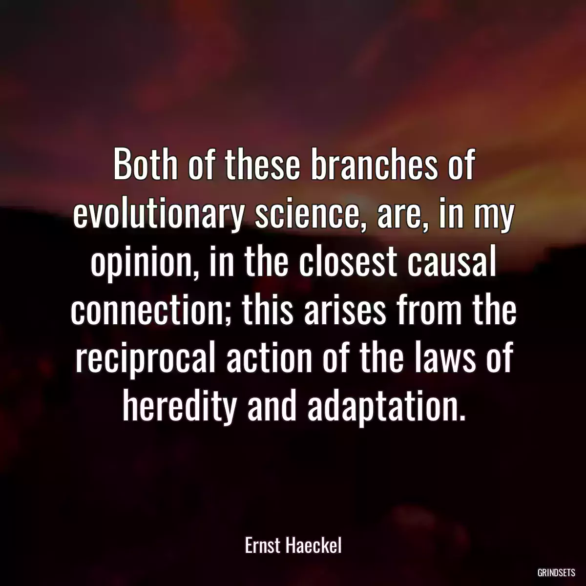 Both of these branches of evolutionary science, are, in my opinion, in the closest causal connection; this arises from the reciprocal action of the laws of heredity and adaptation.