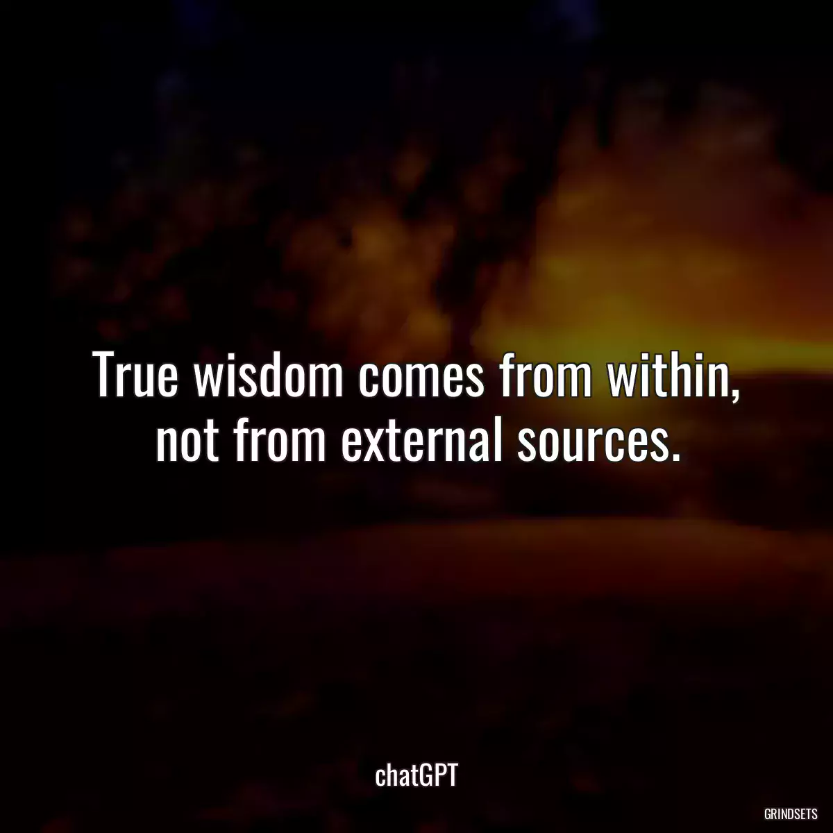 True wisdom comes from within, not from external sources.