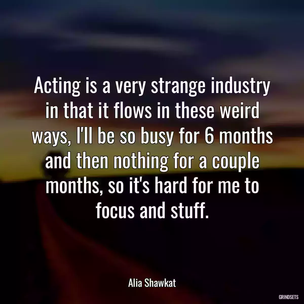 Acting is a very strange industry in that it flows in these weird ways, I\'ll be so busy for 6 months and then nothing for a couple months, so it\'s hard for me to focus and stuff.