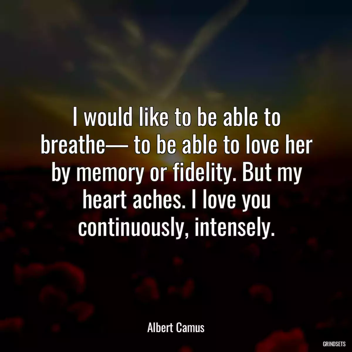I would like to be able to breathe— to be able to love her by memory or fidelity. But my heart aches. I love you continuously, intensely.