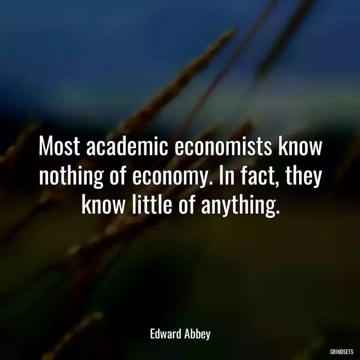 Most academic economists know nothing of economy. In fact, they know little of anything.