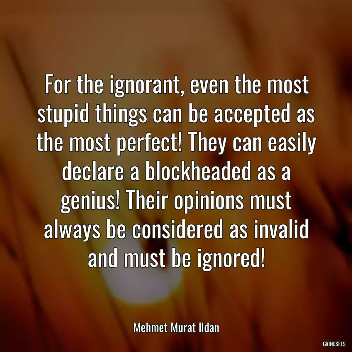 For the ignorant, even the most stupid things can be accepted as the most perfect! They can easily declare a blockheaded as a genius! Their opinions must always be considered as invalid and must be ignored!