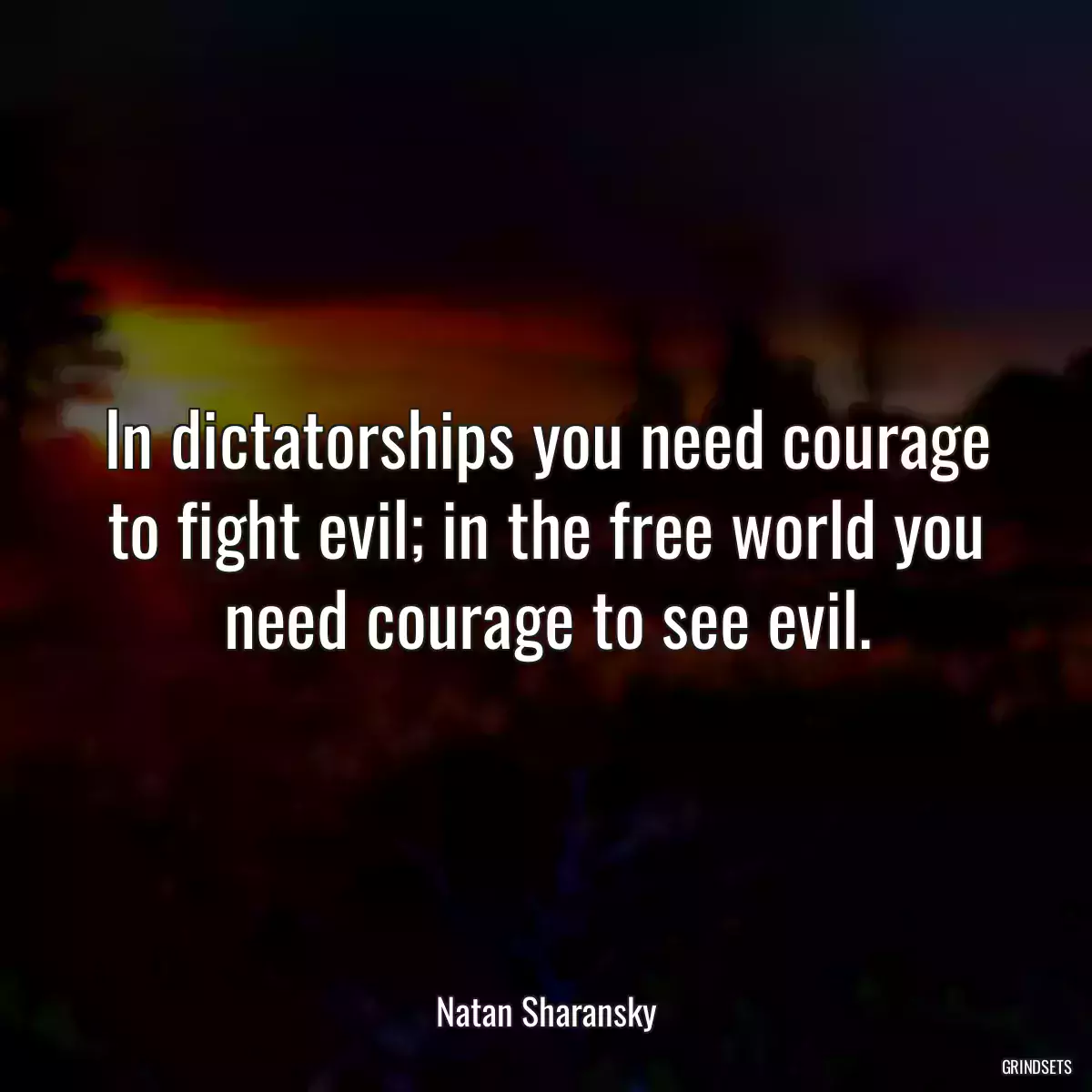 In dictatorships you need courage to fight evil; in the free world you need courage to see evil.