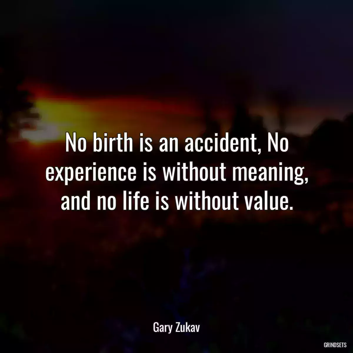 No birth is an accident, No experience is without meaning, and no life is without value.