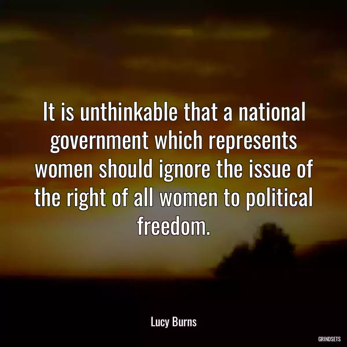 It is unthinkable that a national government which represents women should ignore the issue of the right of all women to political freedom.