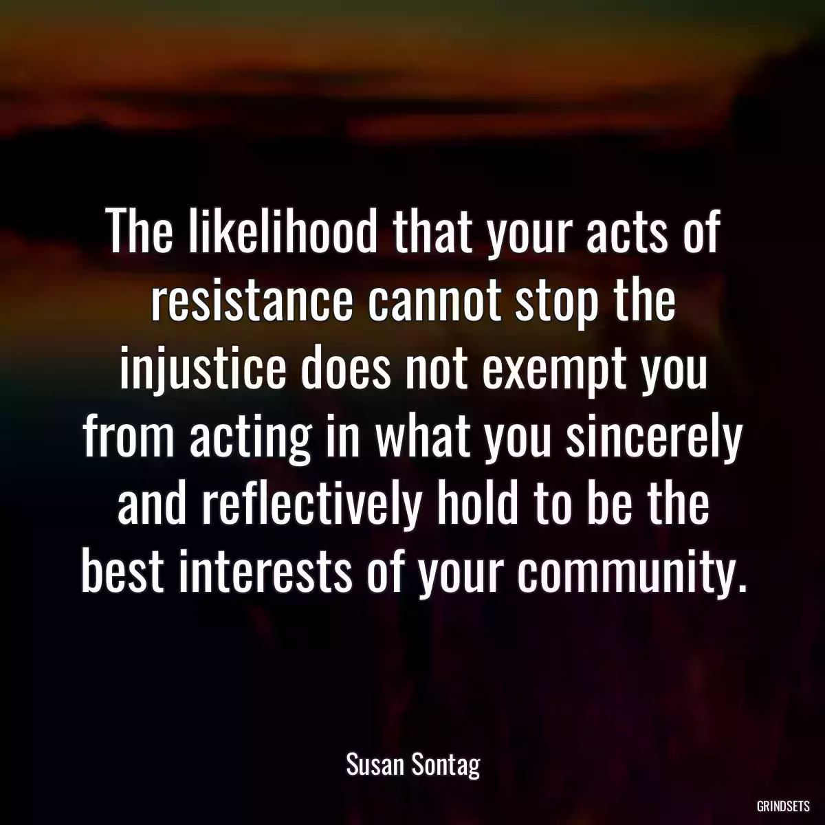 The likelihood that your acts of resistance cannot stop the injustice does not exempt you from acting in what you sincerely and reflectively hold to be the best interests of your community.