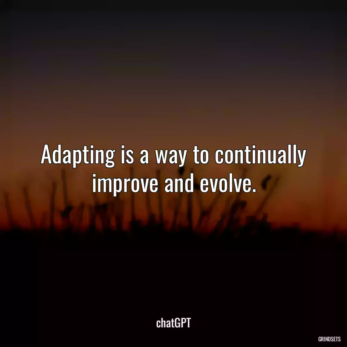 Adapting is a way to continually improve and evolve.