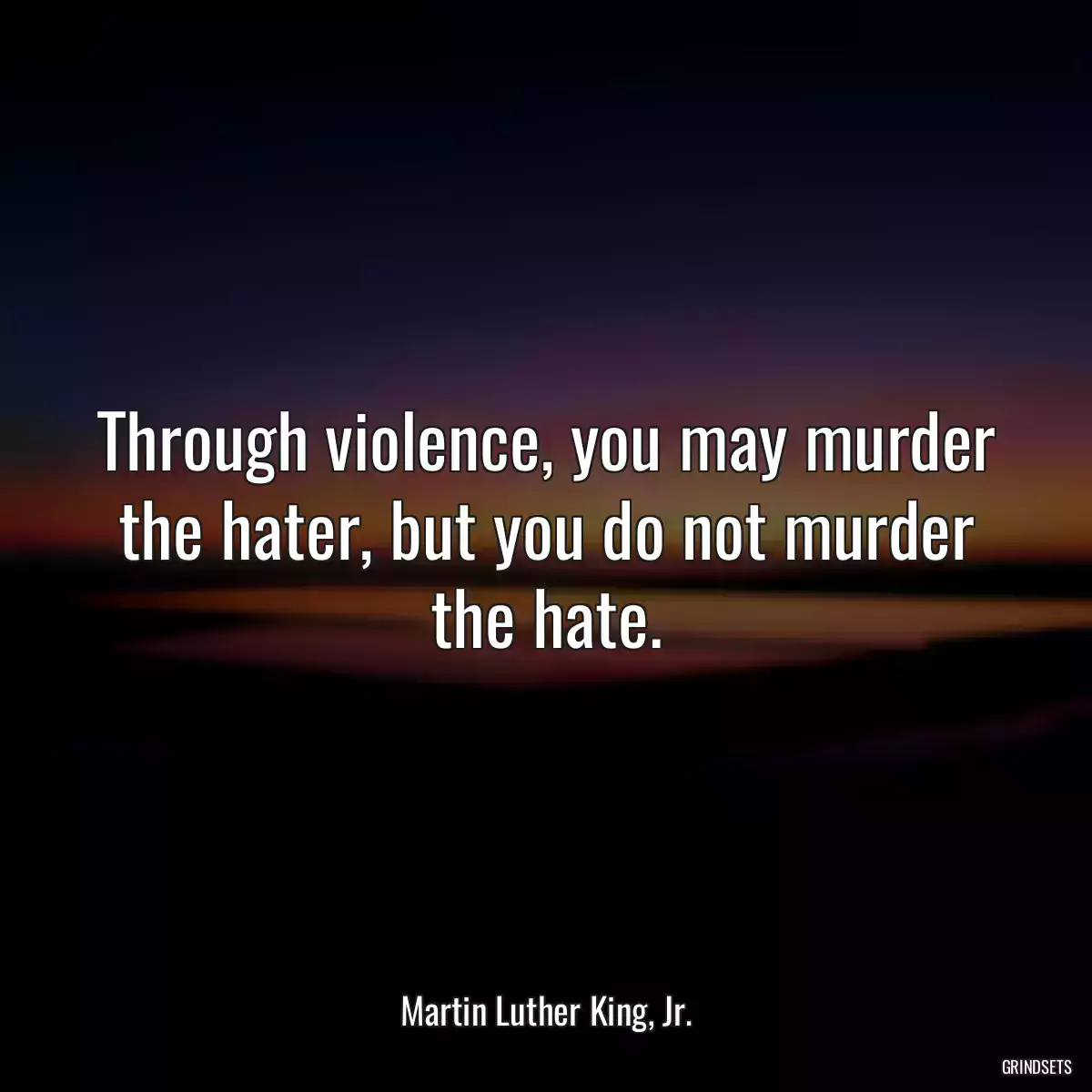 Through violence, you may murder the hater, but you do not murder the hate.