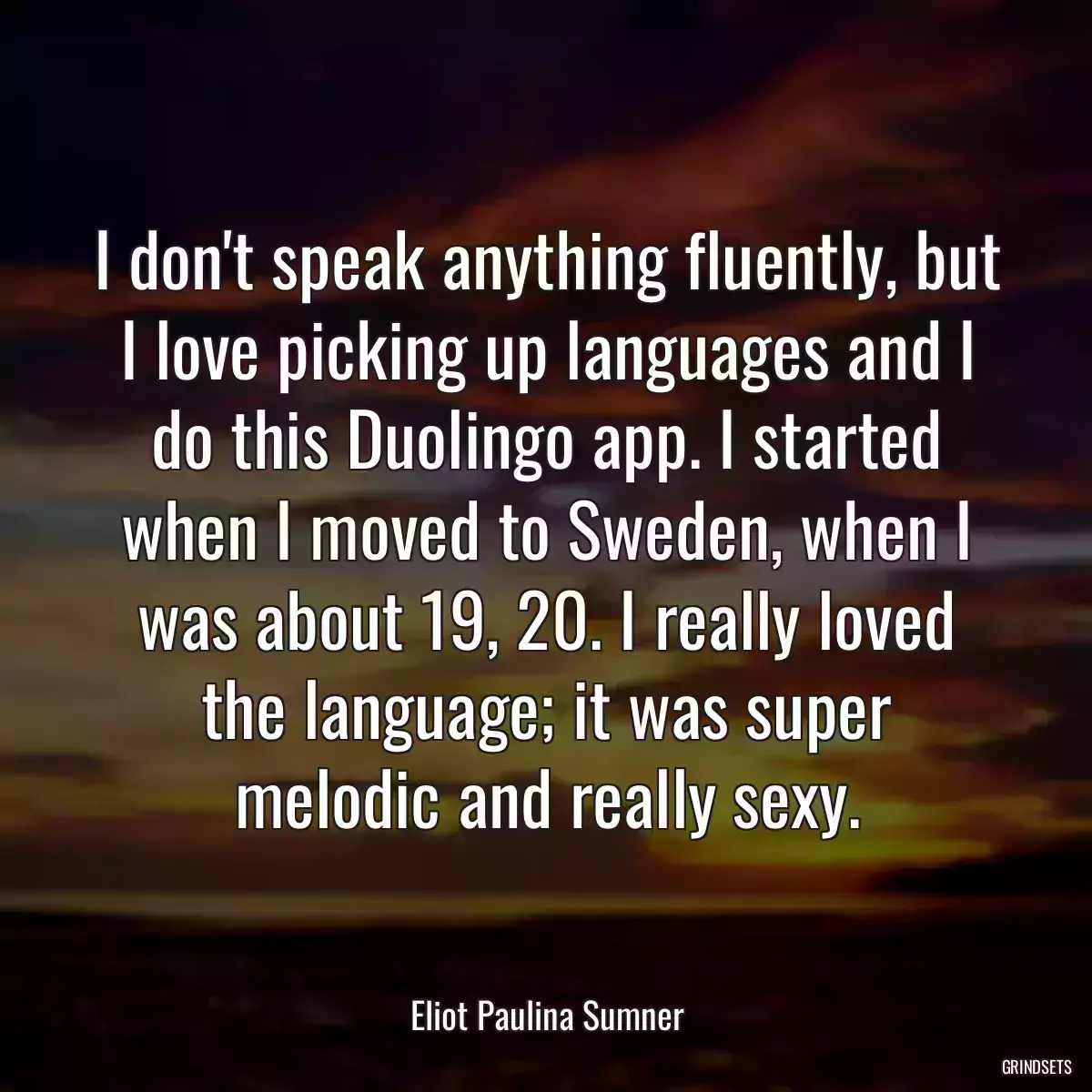 I don\'t speak anything fluently, but I love picking up languages and I do this Duolingo app. I started when I moved to Sweden, when I was about 19, 20. I really loved the language; it was super melodic and really sexy.