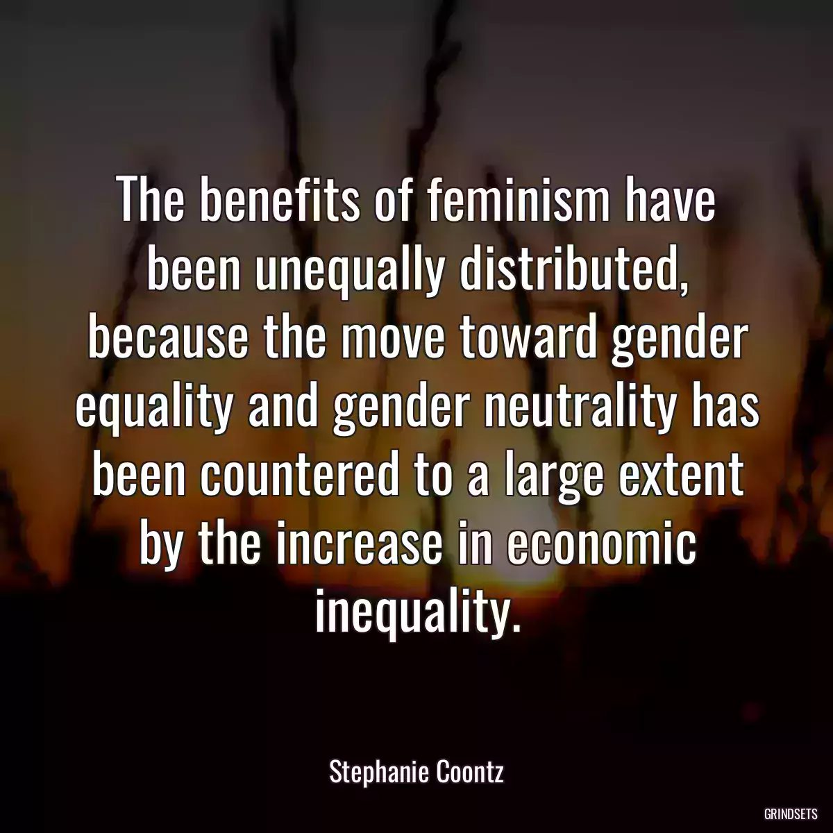 The benefits of feminism have been unequally distributed, because the move toward gender equality and gender neutrality has been countered to a large extent by the increase in economic inequality.