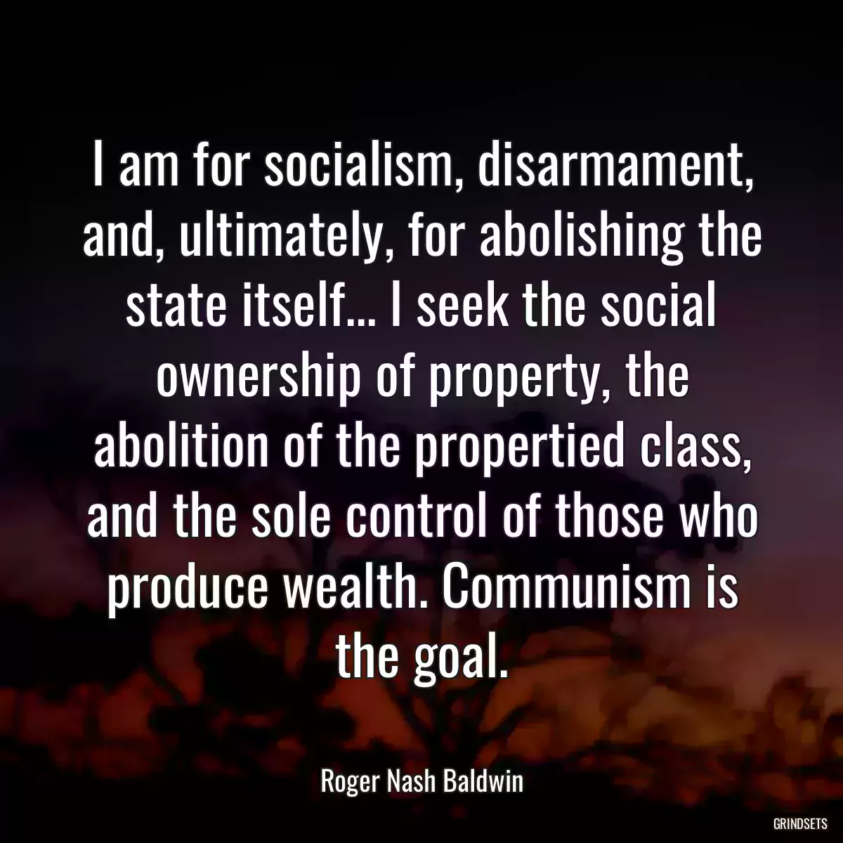 I am for socialism, disarmament, and, ultimately, for abolishing the state itself... I seek the social ownership of property, the abolition of the propertied class, and the sole control of those who produce wealth. Communism is the goal.