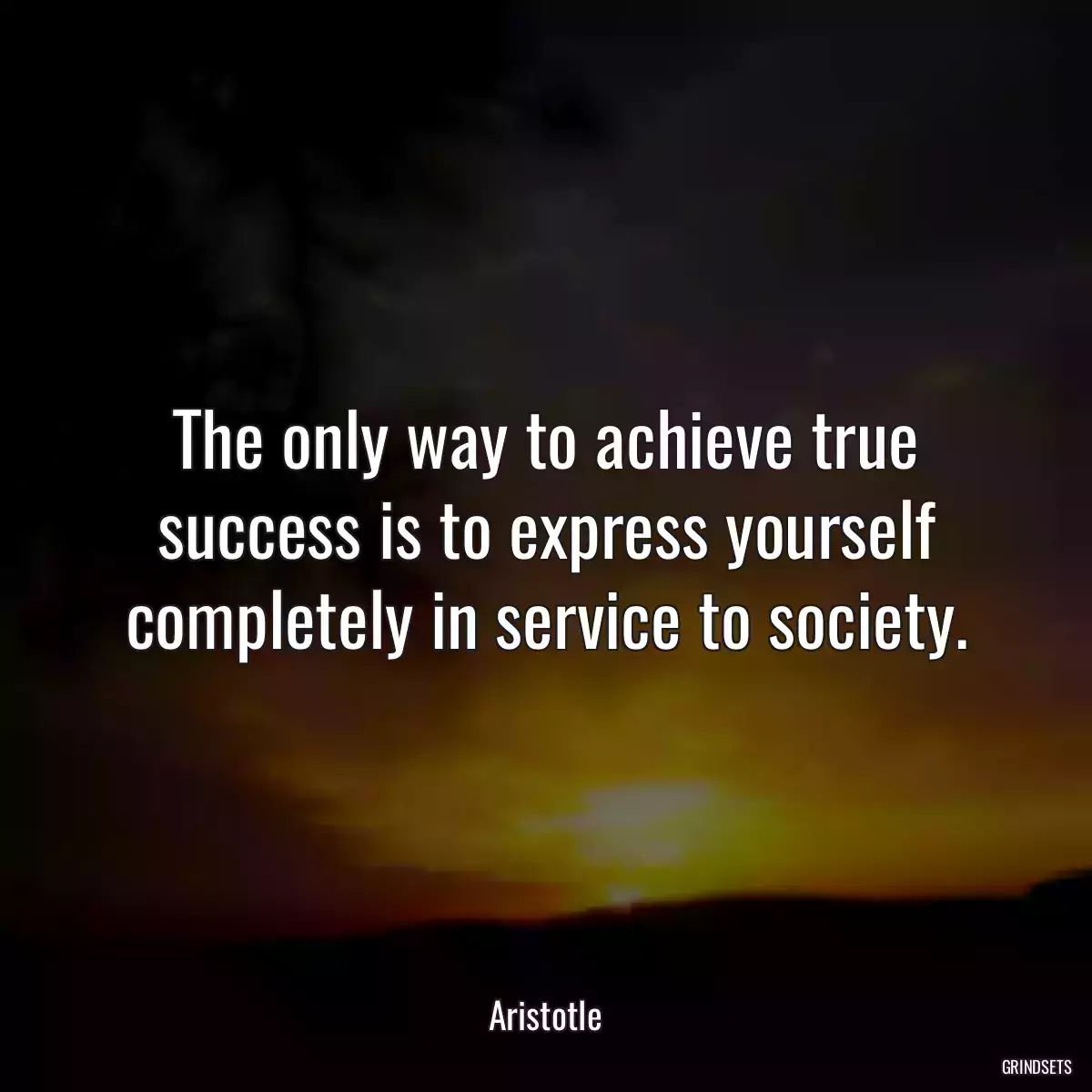 The only way to achieve true success is to express yourself completely in service to society.