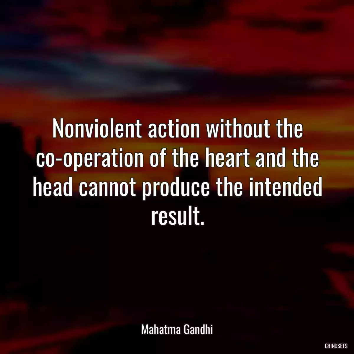 Nonviolent action without the co-operation of the heart and the head cannot produce the intended result.