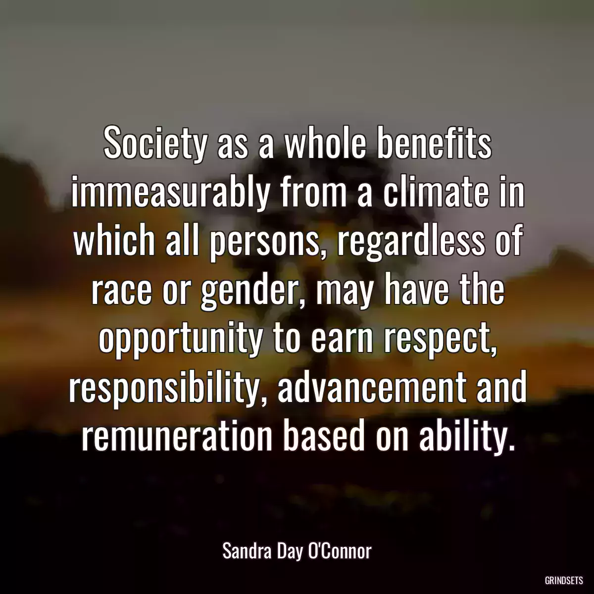 Society as a whole benefits immeasurably from a climate in which all persons, regardless of race or gender, may have the opportunity to earn respect, responsibility, advancement and remuneration based on ability.