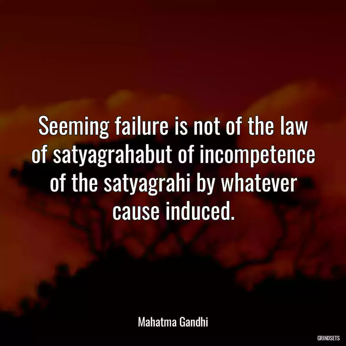 Seeming failure is not of the law of satyagrahabut of incompetence of the satyagrahi by whatever cause induced.