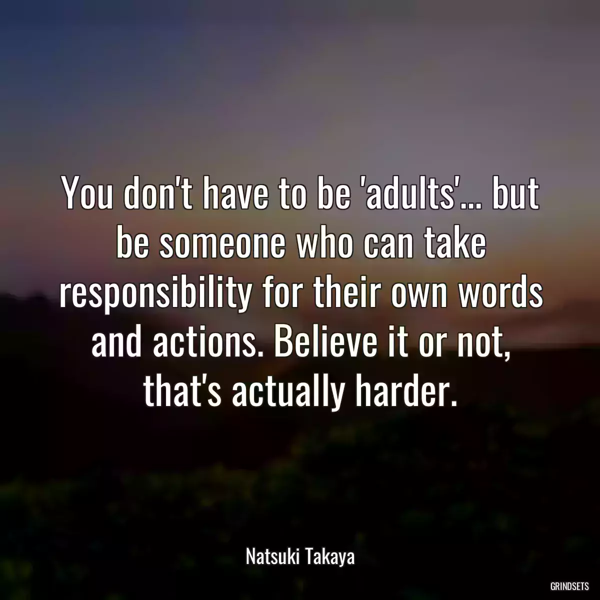 You don\'t have to be \'adults\'... but be someone who can take responsibility for their own words and actions. Believe it or not, that\'s actually harder.