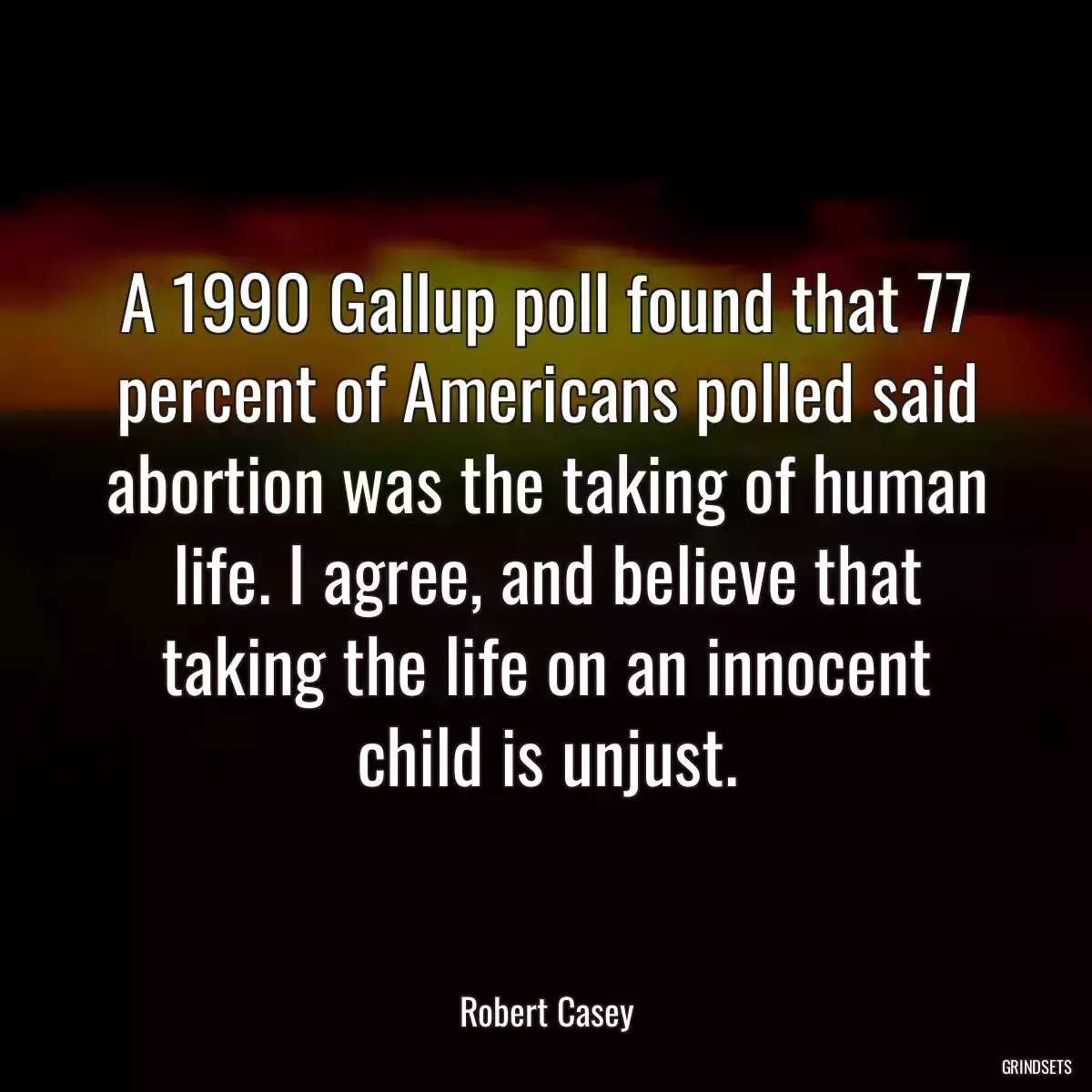 A 1990 Gallup poll found that 77 percent of Americans polled said abortion was the taking of human life. I agree, and believe that taking the life on an innocent child is unjust.