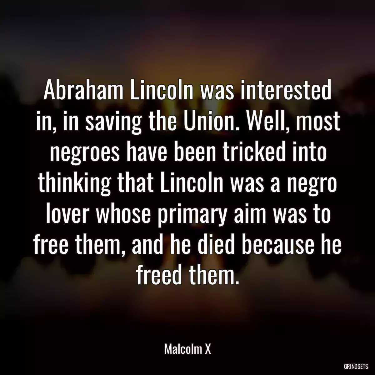 Abraham Lincoln was interested in, in saving the Union. Well, most negroes have been tricked into thinking that Lincoln was a negro lover whose primary aim was to free them, and he died because he freed them.