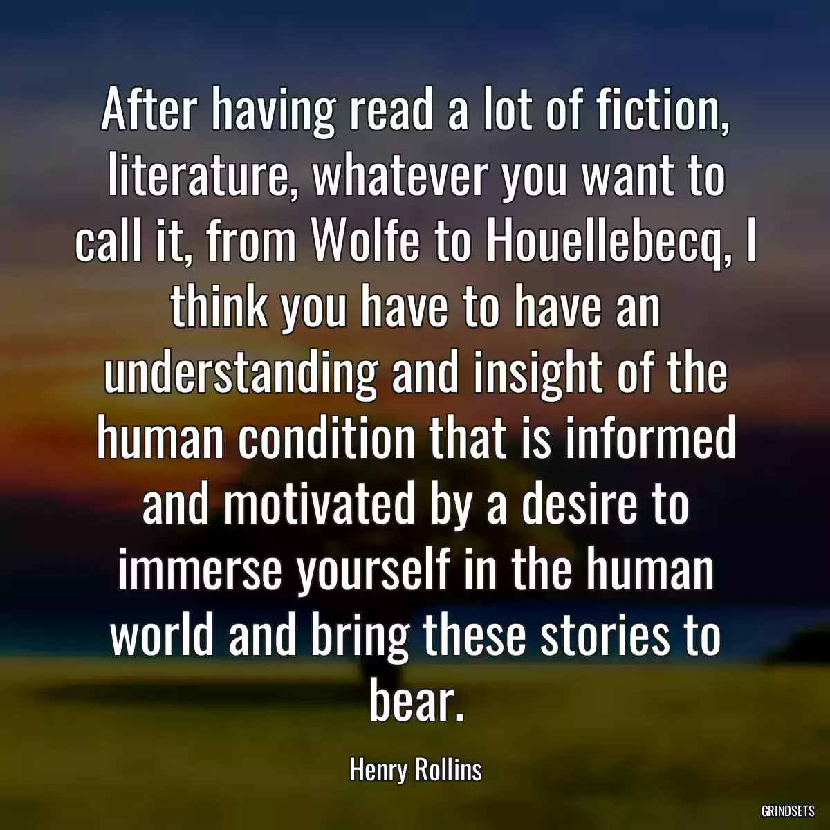 After having read a lot of fiction, literature, whatever you want to call it, from Wolfe to Houellebecq, I think you have to have an understanding and insight of the human condition that is informed and motivated by a desire to immerse yourself in the human world and bring these stories to bear.