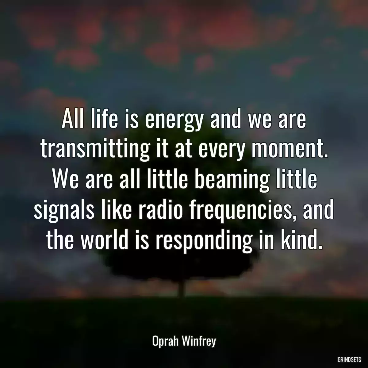 All life is energy and we are transmitting it at every moment. We are all little beaming little signals like radio frequencies, and the world is responding in kind.