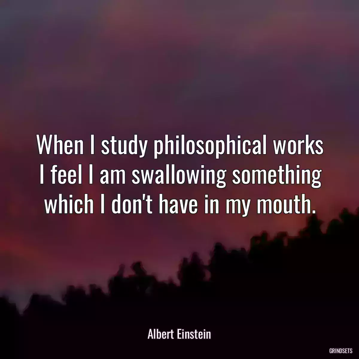 When I study philosophical works I feel I am swallowing something which I don\'t have in my mouth.