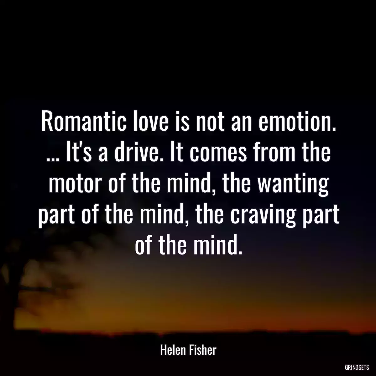 Romantic love is not an emotion. ... It\'s a drive. It comes from the motor of the mind, the wanting part of the mind, the craving part of the mind.