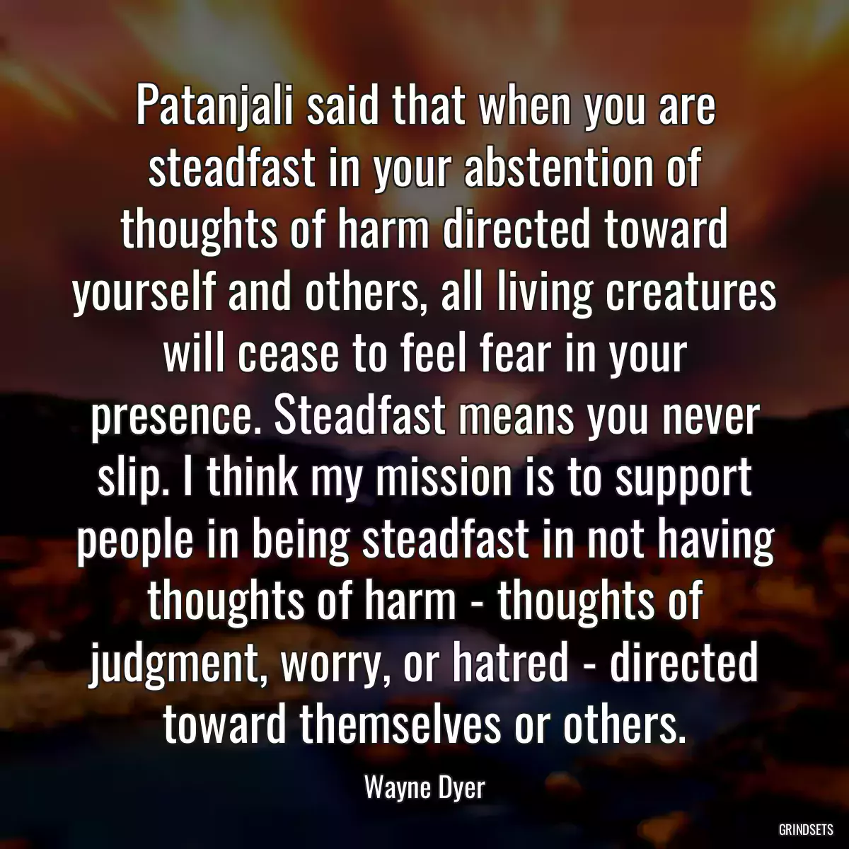 Patanjali said that when you are steadfast in your abstention of thoughts of harm directed toward yourself and others, all living creatures will cease to feel fear in your presence. Steadfast means you never slip. I think my mission is to support people in being steadfast in not having thoughts of harm - thoughts of judgment, worry, or hatred - directed toward themselves or others.