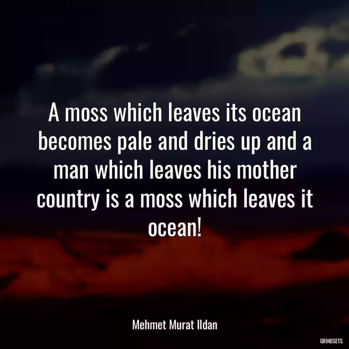 A moss which leaves its ocean becomes pale and dries up and a man which leaves his mother country is a moss which leaves it ocean!