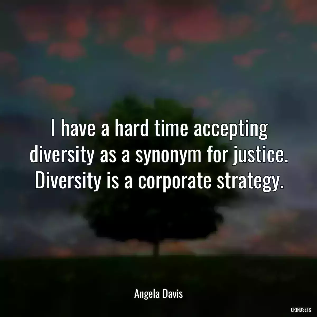 I have a hard time accepting diversity as a synonym for justice. Diversity is a corporate strategy.