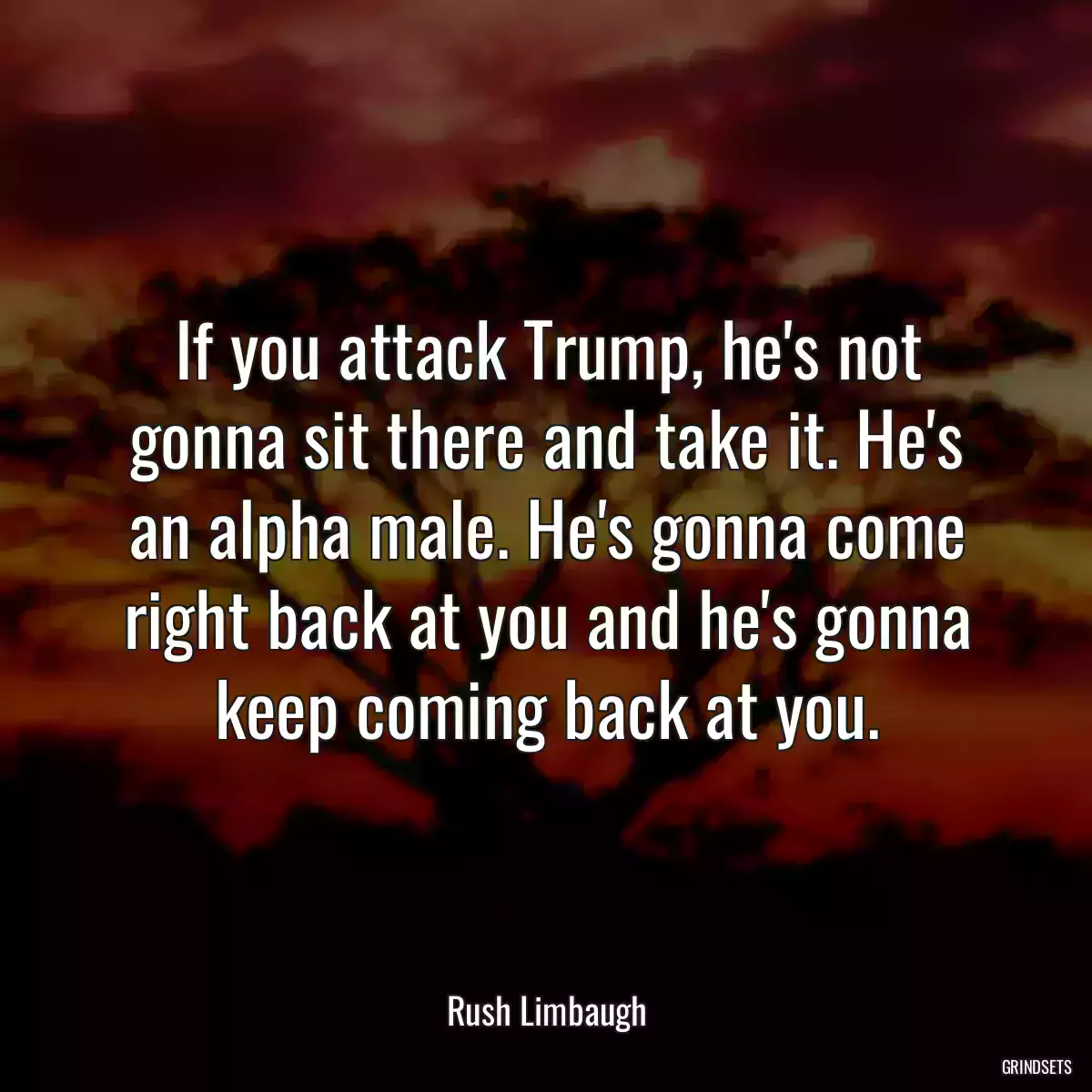 If you attack Trump, he\'s not gonna sit there and take it. He\'s an alpha male. He\'s gonna come right back at you and he\'s gonna keep coming back at you.