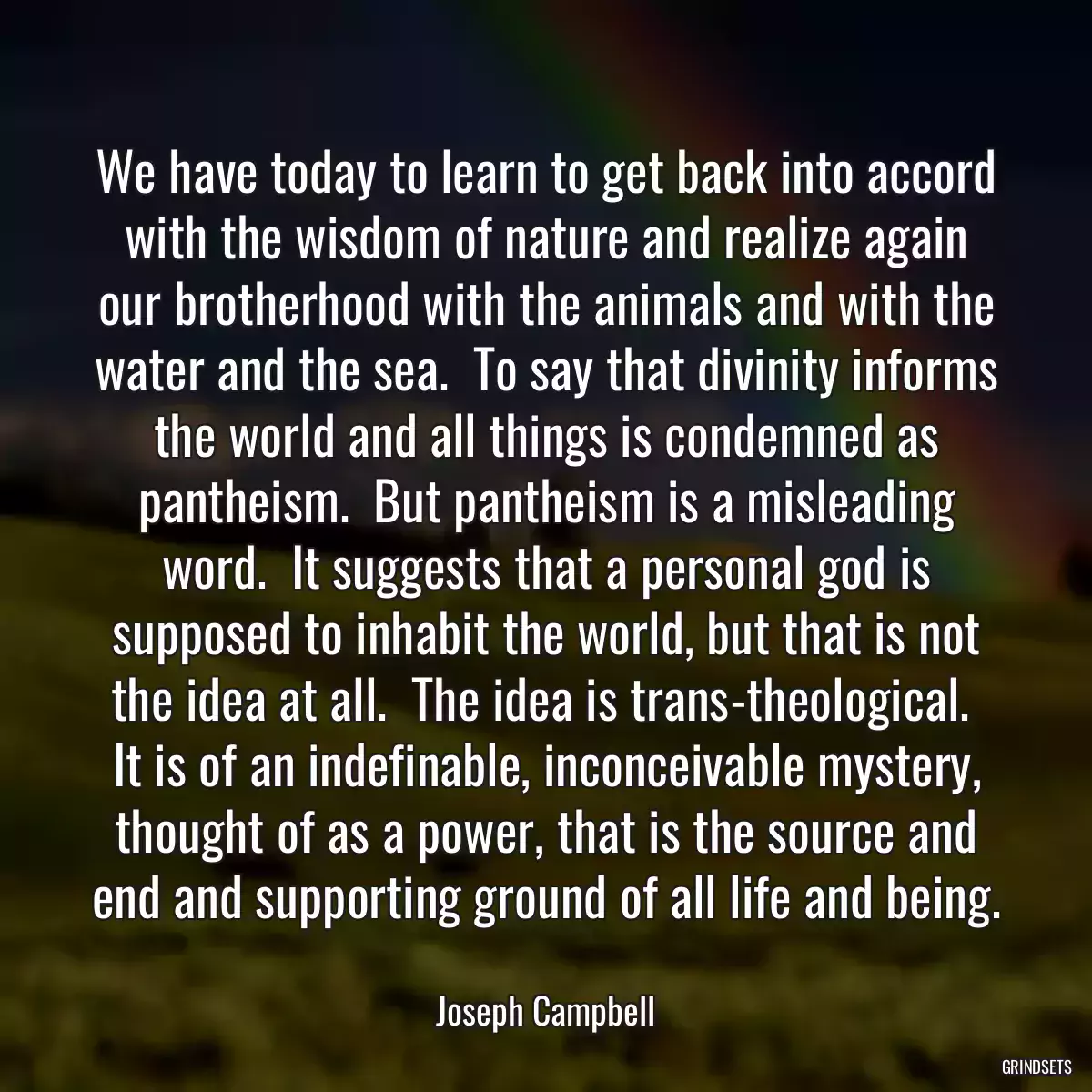 We have today to learn to get back into accord with the wisdom of nature and realize again our brotherhood with the animals and with the water and the sea.  To say that divinity informs the world and all things is condemned as pantheism.  But pantheism is a misleading word.  It suggests that a personal god is supposed to inhabit the world, but that is not the idea at all.  The idea is trans-theological.  It is of an indefinable, inconceivable mystery, thought of as a power, that is the source and end and supporting ground of all life and being.